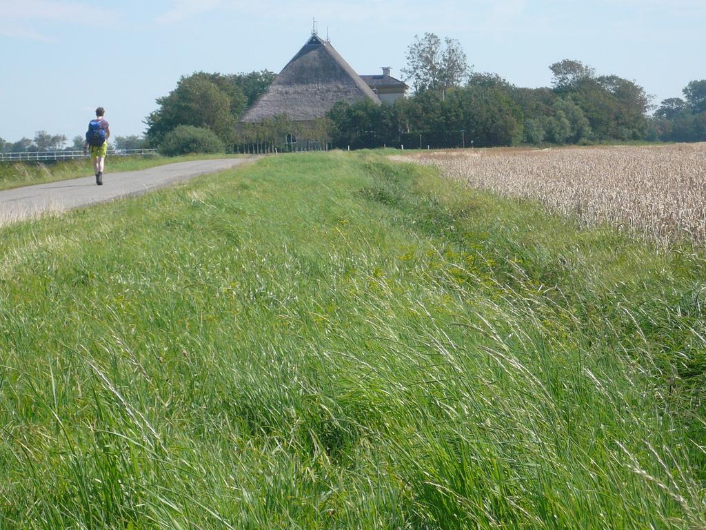 Herberg De Gekroonde Leeuw Arum Esterno foto